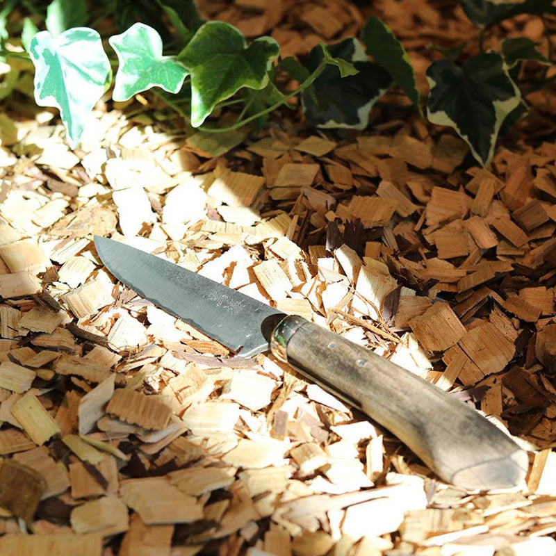 [刀] Takeshi Iwai Custom Knife的Shijima Bushcraft Knives | Echizen鍛造刀片| Iwai餐具