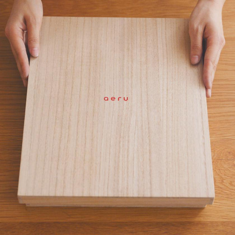 [BIB] APRON WITH PAULOWNIA BOX FROM TOKYO -using kimono dyeing techniques | EDO SARASA | AERU