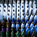 [TIE] JIN SEIRYU ​​RED A | Hakata Textiles | 오카노