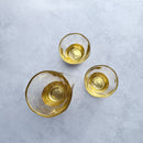 [SAKE BOTTLE] PENETRATION SAKE SET | HAKUICHI | KANAZAWA GOLD LEAF
