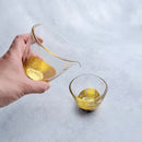 [SAKE BOTTLE] PENETRATION SAKE SET | HAKUICHI | KANAZAWA GOLD LEAF