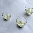 [SAKE BOTTLE] PENETRATION SAKE SET CHAMPAGNE GOLD | HAKUICHI | KANAZAWA GOLD LEAF