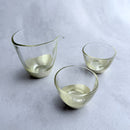 [SAKE BOTTLE] PENETRATION SAKE SET CHAMPAGNE GOLD | HAKUICHI | KANAZAWA GOLD LEAF