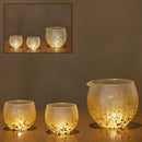 [清酒瓶和杯子套裝]星塵Akari 3件|金澤金葉| hakuichi