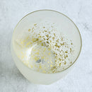 [Rocks Glass] Stardust Akari Glass | Kanazawa Gold Leaf | ฮูคุอิจิ