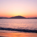 [CHOPSTICKS] WENGE OCTAGON HASHIKURA SEASON01 PINK (WITH CHOPSTICK REST) | WAKASA LACQUERED CHOPSTICKS | MATSUKAN