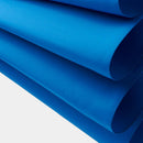 [우산] 여성의 새로운 전통 08-L | 도쿄 우산 | Maehara Koei Shoten