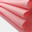 [우산] 여성의 새로운 전통 08-L | 도쿄 우산 | Maehara Koei Shoten