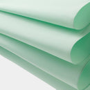 [우산] 여성의 새로운 전통 08-L | 도쿄 우산 | Maehara Koei Shoten