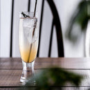 [玻璃] ES Slim 03 W Edokiriko |江戶切割玻璃