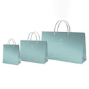 [PAPER BAG] E | KAGAMI CRYSTAL