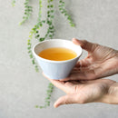 [ชุดจาน] Hike Kids Set 3 (สีน้ำเงิน) | Hasami Wares | Saikai Toki