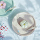 [ชุดจาน] Hanaori 5.31 in. ชุดของ 2 | Hasami Wares | Saikai Toki