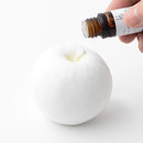 [INCENSE] AROMA STONE SET APPLE | HASAMI WARES| SAIKAI TOKI