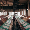 預購【毛巾】初音手稿原創插畫版|手工印刷|初音工坊