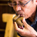 [BECKONING (Lucky) 고양이] 고양이 초대장 (Multi) | 유노노 인형 | 평화 공예 사가