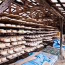 [BECKONING (LUCKY) CAT] CAT'S INVITATION BRAIN(Multi) | YUMINO DOLL | PEACE CRAFTS SAGA