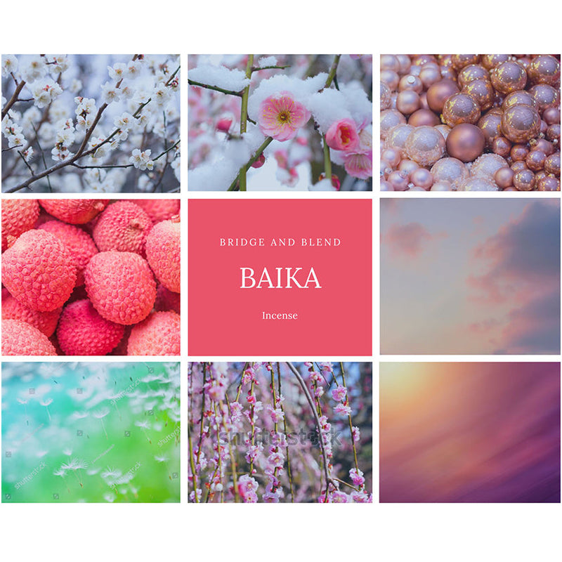 [INCENSE] BAIKA JAPANESE PLUM (FULL SIZE) | FRAGRANCE FORMULATION | BRIDGE AND BLEND