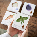 [毛巾]“ Shizuku”手帕（毛巾類型）| Senshu毛巾|福洛伊毛巾