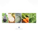 [毛巾]“ Shizuku”手帕（紗布類型）| Senshu毛巾|福洛伊毛巾