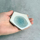 [SMALL DISH (PLATE)] GLASS GLAZE MAME PLATE | TANBA WARE | SHINSUIGAMA