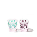 [CHOUKOKU GLASSES (CARVING) YUME GLASS] SAKURA SAKE CUP PAIR(CAPACITY 90ML) | TABLEAU