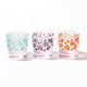 [แก้ว CHOUKOKU (แกะสลัก) แก้ว YUME] SAKURA FREE CUP | ตาราง