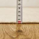 [RUG / CARPET] RECOMMENDED BY DOCTORS ASKDOCTORS ANTIBACTERIAL PLATINUM COATING | TATAMI, CARPET | HAGIHARA