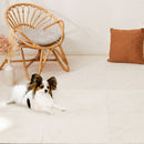 [CARPET TILE MINIMUM ORDER QUANTITY: 10 TILES] SQUARE2400 SOWARE 50 * 50CM | TATAMI, CARPET | HAGIHARA