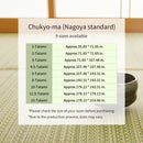 [RUG / CARPET] WASHABLE IGUSA (IGUSA-STYLE) FABRIC RAIAN | TATAMI, CARPET | HAGIHARA