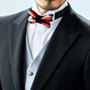 [領帶]弓領帶阿格里亞斯·克勞迪娜|金屬蝴蝶|鈑金加工