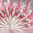 [GLASS] RINZEN MULTI (GOLD RED) | KIRIKO