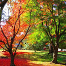 [Vase] 금꽃꽃병 | 쓰가루비 (Vidro)