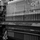 [Tatami] Rush Rug Karon Yellow (M: 190 × 250 ซม., L: 190 × 300 ซม.) | Ikehiko | ทาทามิ