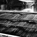 [다트미] 러시 러그 호 접합자 레드 (M : 200 x 200 cm, L : 200 x 250 cm) | 다다미