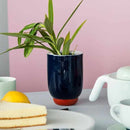 [SPICE JAR (CONTAINER)] PAULINE DELTOUR SUGAR POT (DARK BLUE) | 2016/ | IMARI-ARITA WARES