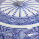 [TEA SET] 3 PIECES KYUSU & SAMASHI & SENCHA HIRADO-JYUSSO | MIKAWACHI WARE | HIRADOSHOUZAN