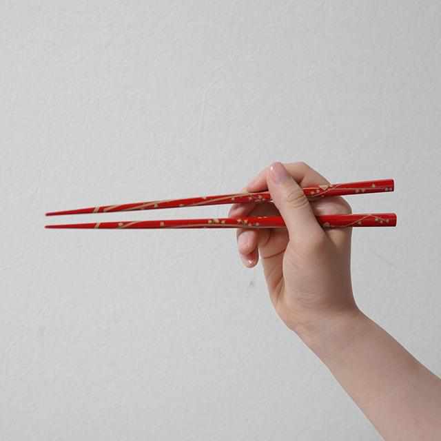 [Chopsticks] Rinpa X Wajima Lacquer Chopsticks Plum | Hashikura Matsukan | Wakasa Lacquerware