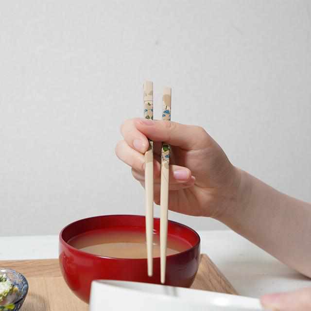 [Chopsticks] Rinpa X Wajima Lacquer Chopsticks Ivy | Hashikura Matsukan | Wakasa Lacquerware