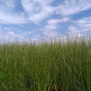 [YOGA MAT] RUSH YOGA MAT EARTH BLUE (60 × 180CM) | TATAMI