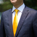 [TIE] TURMERIC MIYAVI 33 MOMME SILK SATIN | GUNNAI TEXTILES| FUJI SAKURA