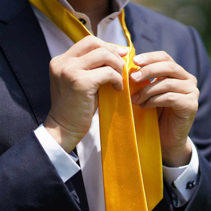 [領帶]領帶薑黃宮崎駿33 Momme絲綢緞| Gunnai紡織品