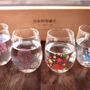 [GLASS] SHUN JAPAN FOUR SEASONS MAGIC 4 PIECES | MARUMO TAKAGI