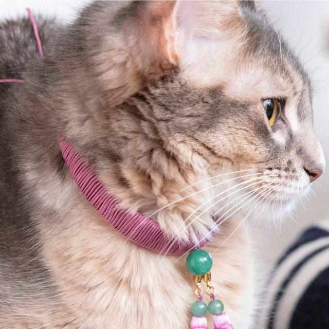 [寵物供應] 貓項鍊 & 耳環組合海安 | 京都佛教 Beads
