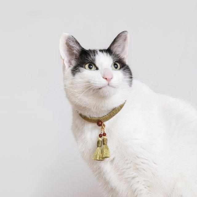 (Pet Supply) Cat Neckplace & Earrings Set Kurama | เกียวโตพุทธบุตร