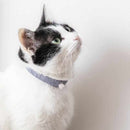 [PET SUPPLY] NECKLACE FOR CATS (COLLAR) GINKAKU | NAKANO ISUKE | KYOTO BUDDHIST BEADS