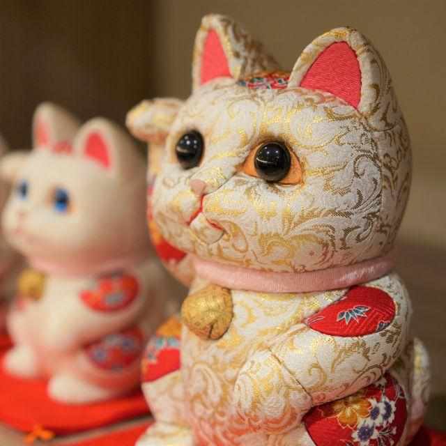 [Beckoning （Lucky） Cat] Maneki Neko （特大部）金 | 江戶藝術娃娃