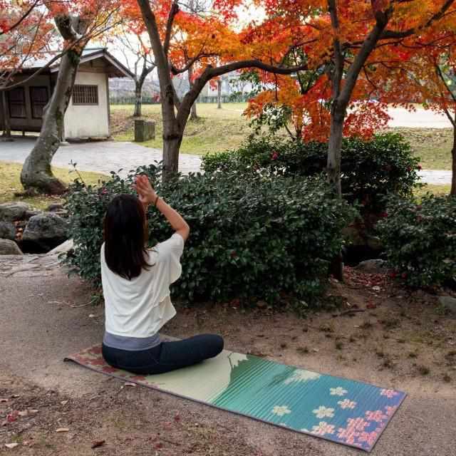 [เสื่อโยคะ] Rush Yoga Mat ซากุระฟูจิ (60 × 180 ซม.) | เสื่อทาทามิ