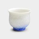 [SAKE BOTTLE] FLOWER CRYSTAL (WHITE BACKGROUND RED BLUE) SAKE SET (3-PIECE SET) | TOUAN | KYOTO-KIYOMIZU WARES
