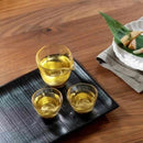 [SAKE BOTTLE] PENETRATION SAKE SET | HAKUICHI | KANAZAWA GOLD LEAF